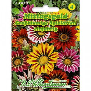 Gazánie Gigant, mix barev