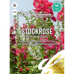 Slez zahradní Antwerp Hollyhock