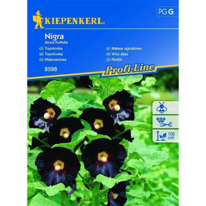 Slez zahradní (Alcea) Nigra