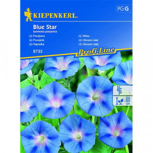 Povojník Blue Star