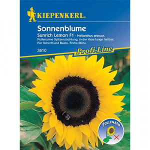 Dekorativní slunečnice Sunrich Lemon F1