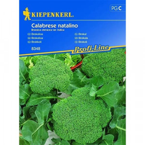 Brokolice Calabrese natalino