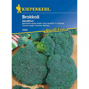 Brokolice Marathon F1