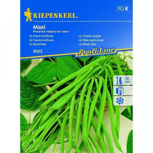 Fazole Maxi