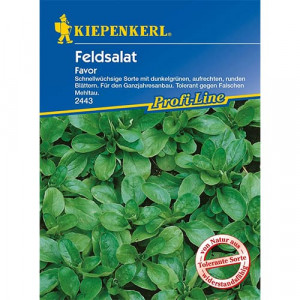 Polní salát (Valeriánka) Favor