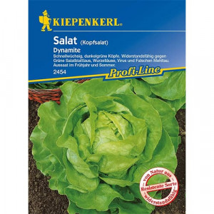Zelený salát Dynamite
