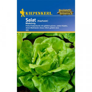Zelený salát May King