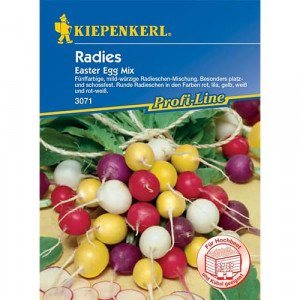 Ředkvička Easter Egg, vícebarevný mix