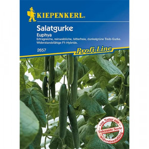 Salátová okurka Euphya F1