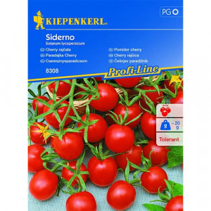 Rajče Siderno F1