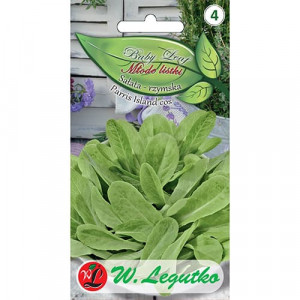 Baby Leaf - Salát Paris Island cos