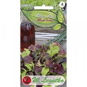 Baby Leaf - Směs fantazie