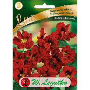 Kapucínka větší Mahogany Jewel