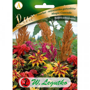 Laskavec ocasní (Amaranthus) Magic Cascade