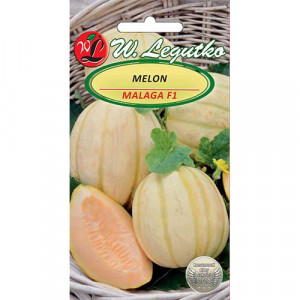Meloun Malaga F1