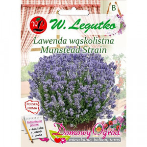 Levandule Munstead Strain