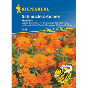 Cosmos Mandarin
