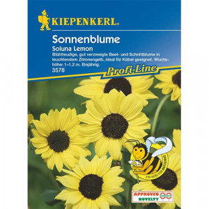 Dekorativní slunečnice Soluna Lemon
