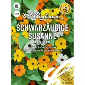 Tunbergia Susanne Blackeye, mix vícebarevný