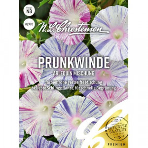 Povojník (Ipomea) Arlequin, pestrobarevná směs