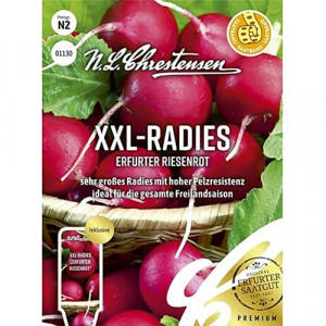Ředkvička Red Giant XXL