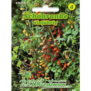 Eccremocarpus jednoletý