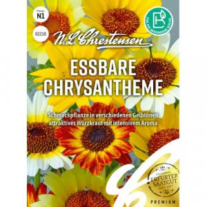 Chryzantéma, mix vícebarevný