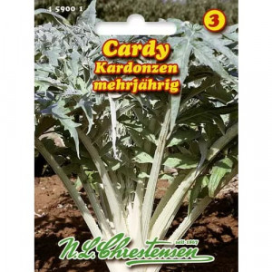 Artyčoka Cardy
