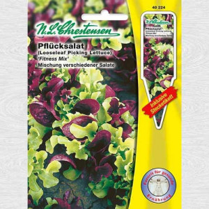 Salát Fitness, směs odrůd