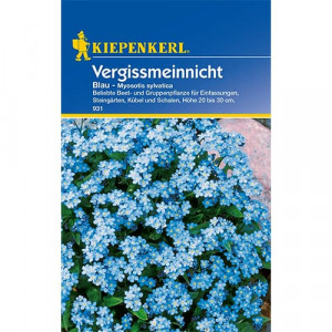 Pomněnka Blue
