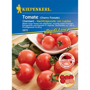 Rajče Tomato Charmant F1