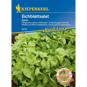 Listový salát Kyrio