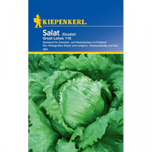 Salát iceberg Great Lakes 118