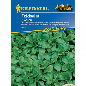 Polní salát (Valeriánka) Juwallon