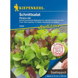 Salát Fitness, směs odrůd