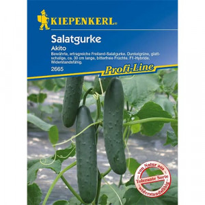 Salátová okurka Akito